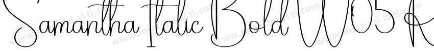 Samantha Italic Bold W05 Rg Regular字体转换